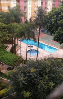 Image 3 - 1037493