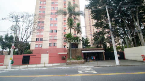 Image 33 - 1018877