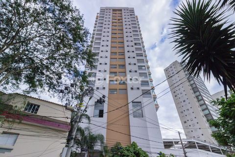 Image 30 - 315868