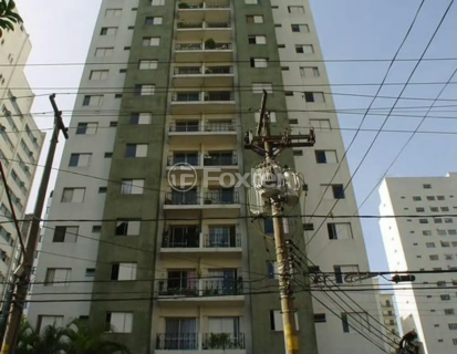 Image 16 - 1015991