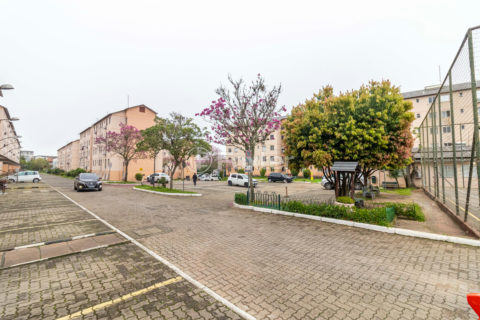 Image 33 - 736035