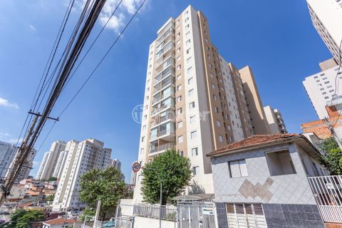 Image 79 - 331239