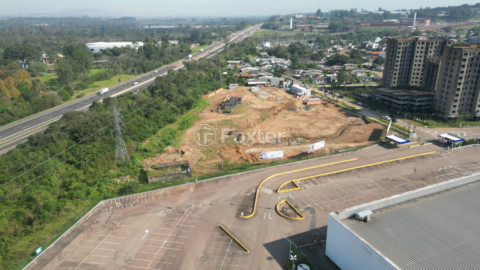 Image 11 - 834299