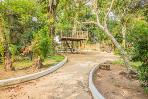 Image 43 - 611827