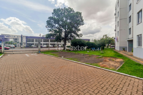 Image 31 - 999961