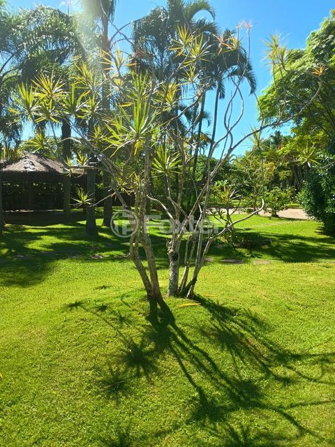 Image 27 - 868217