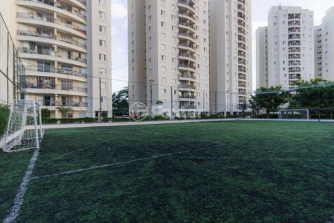 Image 31 - 1017239