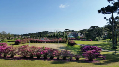 Image 20 - 213156