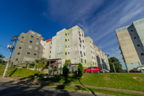 Image 30 - 310466