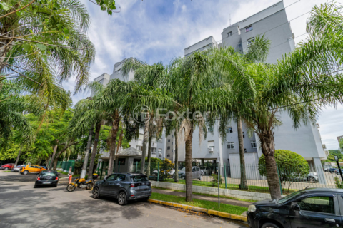Image 7 - 967075