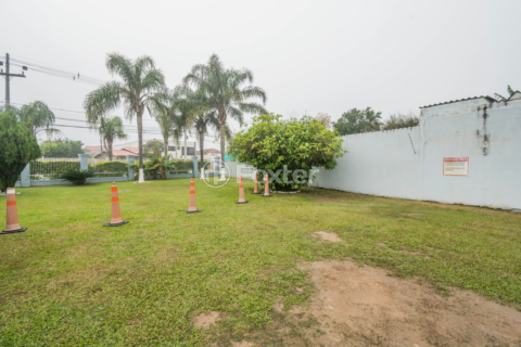 Image 31 - 550388