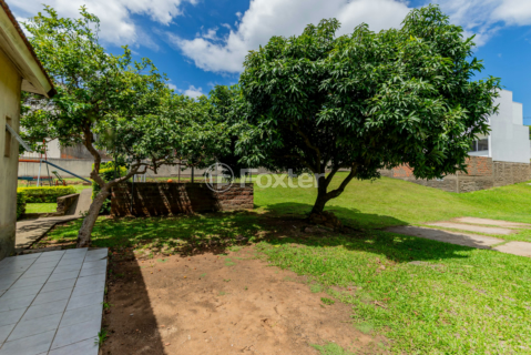 Image 15 - 219033