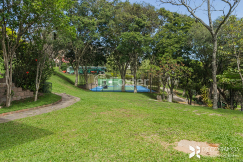 Image 70 - 205850
