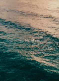Image 8 - 898121