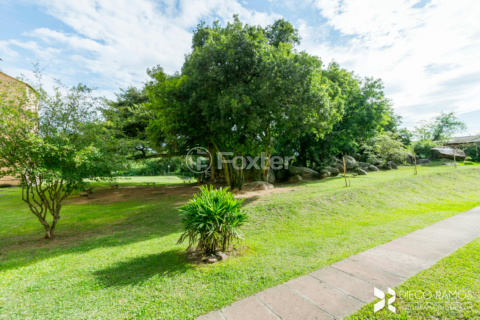 Image 21 - 876253