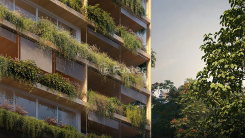 Image 6 - 955472