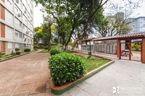 Image 28 - 296254