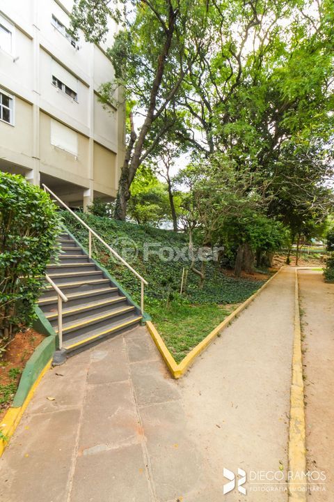 Image 53 - 296254
