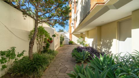 Image 24 - 954976