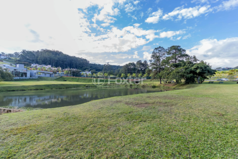 Image 34 - 1011560