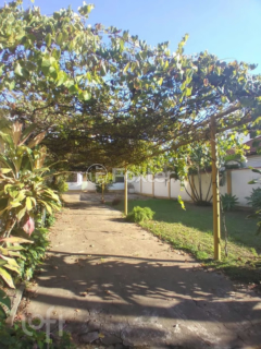 Image 35 - 1000054