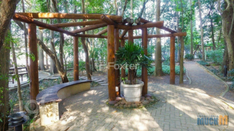 Image 7 - 1000076