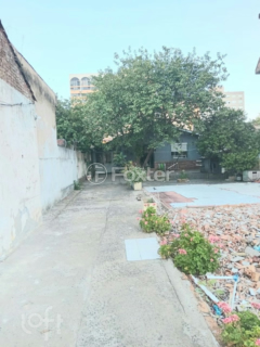 Image 27 - 1000199