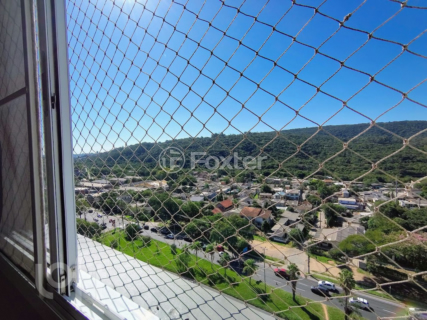Image 5 - 1000452