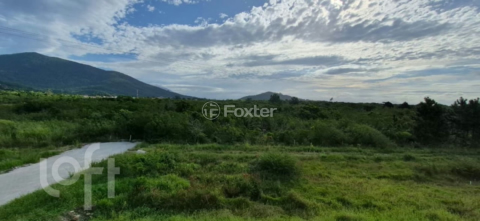 Image 31 - 1000477