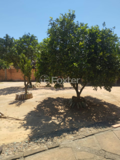 Image 8 - 1000771
