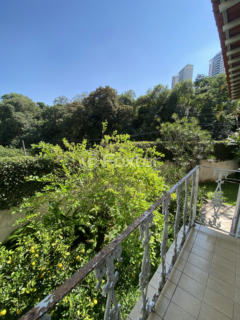 Image 41 - 1001563