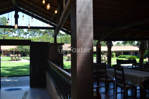 Image 25 - 1001872