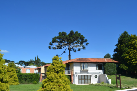 Image 33 - 1001872