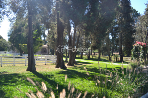 Image 30 - 1001872