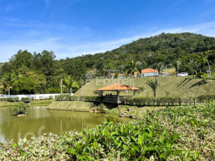 Image 11 - 1001877