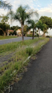 Image 4 - 1001893