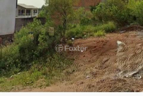 Image 3 - 1001916