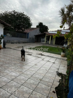 Image 20 - 1003007