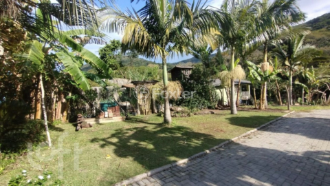 Image 4 - 1003206