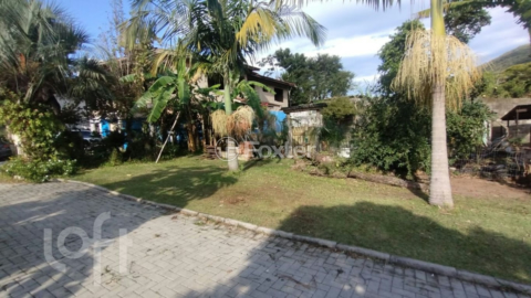 Image 7 - 1003206