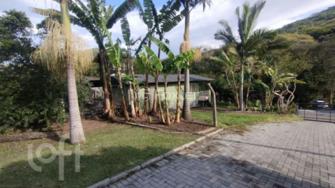 Image 6 - 1003206