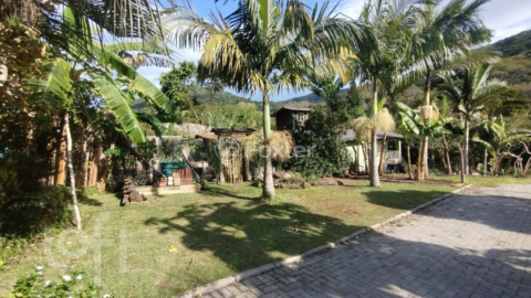 Image 5 - 1003206