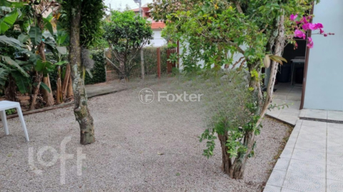 Image 9 - 1003244
