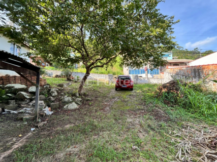Image 4 - 1003591