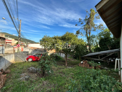 Image 7 - 1003591