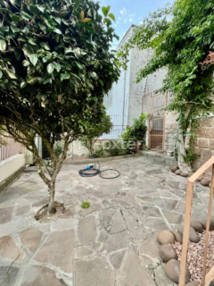 Image 33 - 1003756