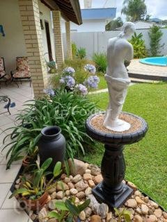 Image 7 - 1004677