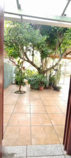 Image 3 - 1004838
