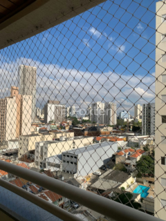 Image 3 - 1004973