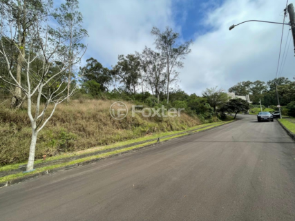 Image 79 - 1005068